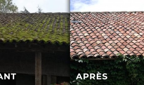 Enlever mousse de son toit à Toulouse