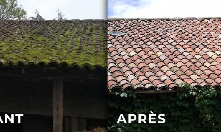Démoussage et nettoyage toiture à Toulouse